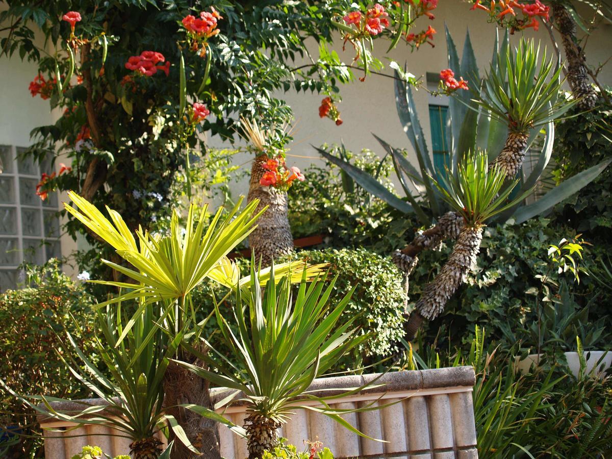 Appartamento Residenza ZACCOLO Lignano Sabbiadoro Esterno foto